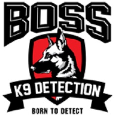 Boss K9 Detection